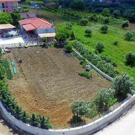 Fior Di Lixúri