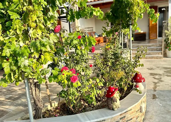 Fior Di Villa Lixouri